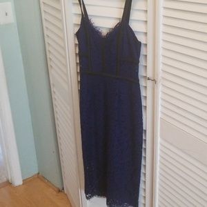 Express Navy Lace Dress